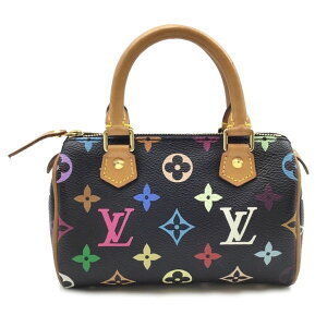 Louis Vuitton Speedy Multicolor Monogram Black